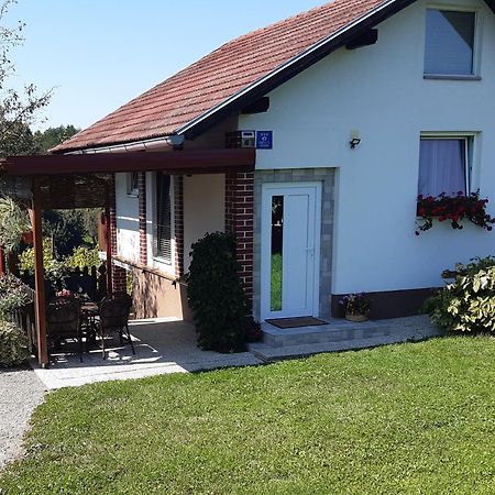 Villa Kuca Za Odmor Vinica Breg Varaždin Exterior foto