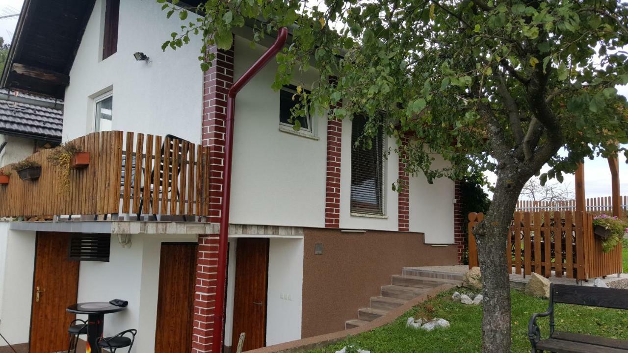 Villa Kuca Za Odmor Vinica Breg Varaždin Exterior foto